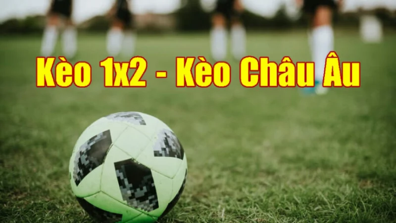 Kèo cược 1×2 là gì và có thực sự giúp tay cược thắng lớn? Kèo cược 1×2 là gì và có thực sự giúp tay cược thắng lớn?
