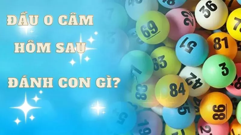 Giải Mã Câu Hỏi Đầu 0 Câm Hôm Sau Đánh Con Gì Cùng W88 Giải Mã Câu Hỏi Đầu 0 Câm Hôm Sau Đánh Con Gì Cùng W88