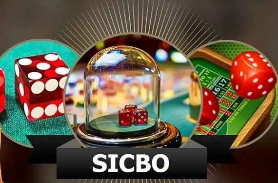 Cách Chơi Thái Sicbo W88 Hay Nhất Dành Cho Tân Thủ